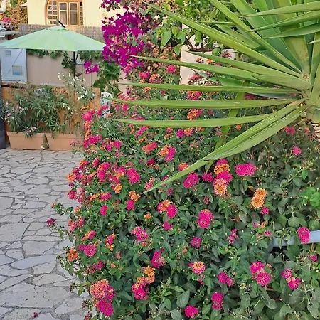 Les Loulous Homestay *