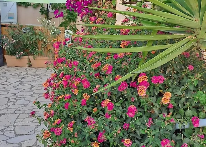 Les Loulous Privat bolig *